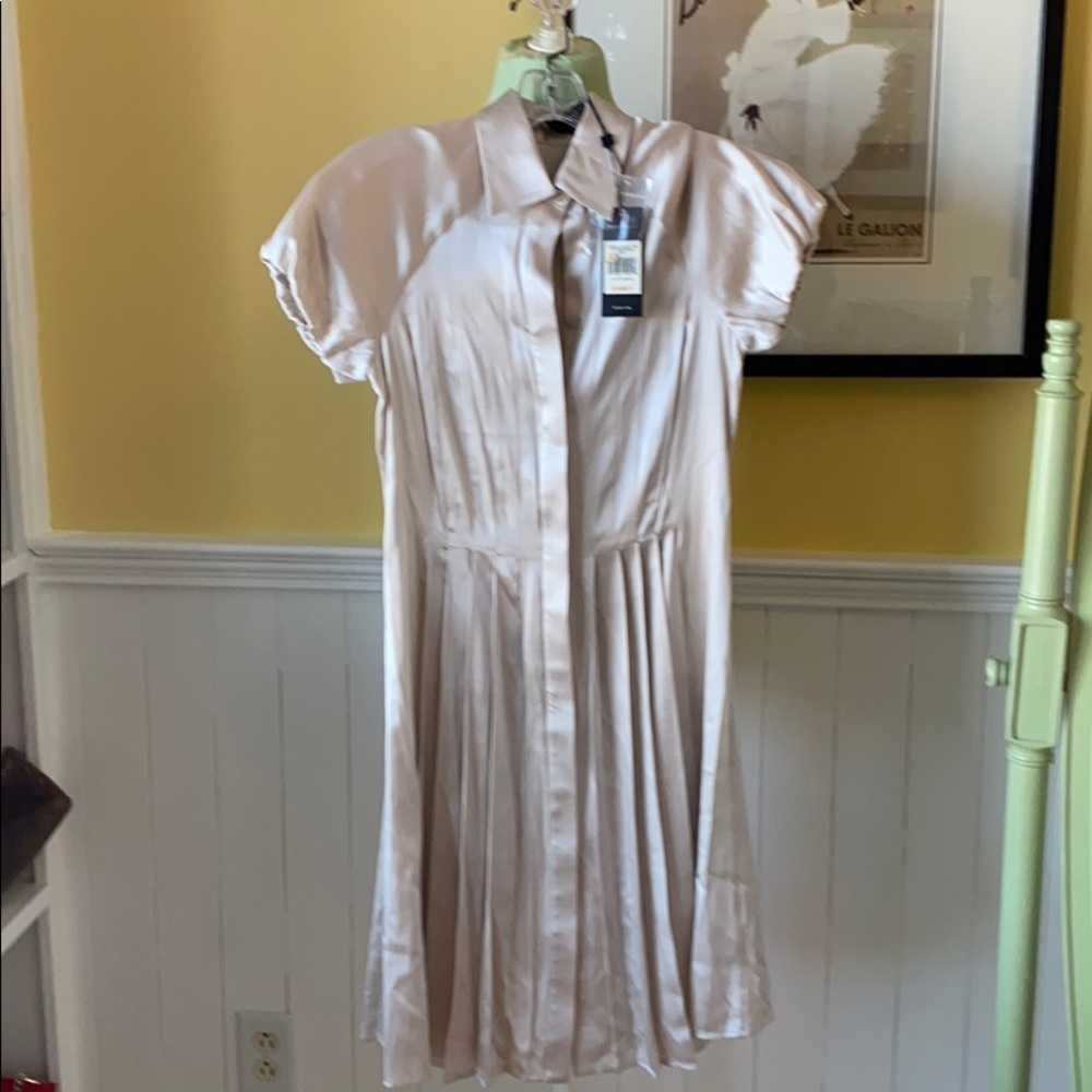 BCBGmaxazria dress